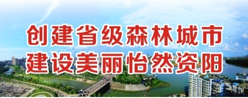 插骚逼好多水视频创建省级森林城市 建设美丽怡然资阳