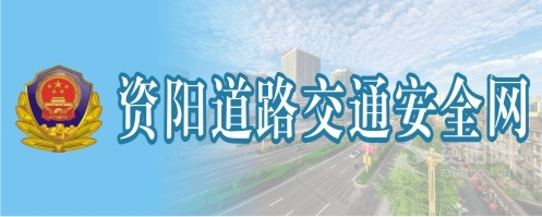 大浪逼网站资阳道路交通安全网