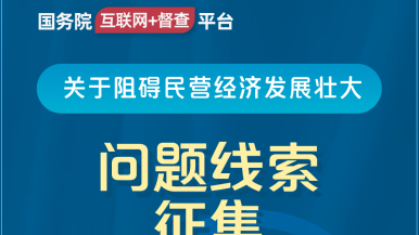 强行插入花核国务院“互联网+督查”平台公开征集阻碍民营经济发展壮大问题线索